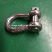 Hot Sale Xinao Marine Stainless Steel Shackle/D Type Shackle